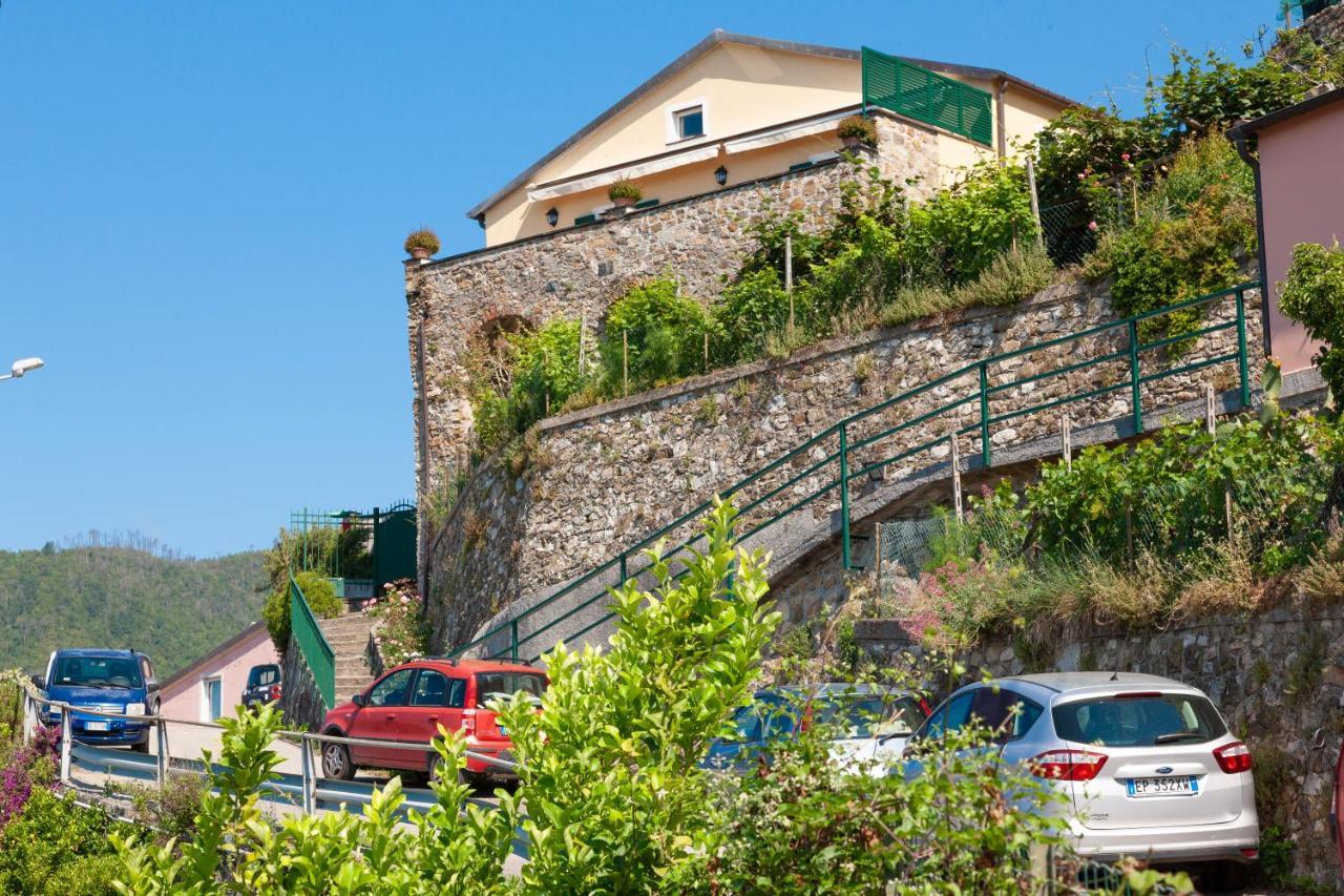 Villa Dell'Erta - Levanto Montale  ภายนอก รูปภาพ