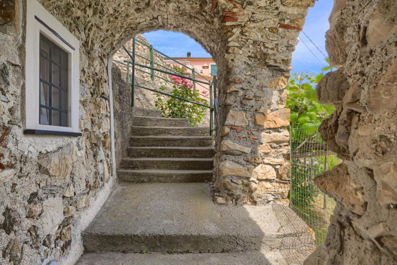 Villa Dell'Erta - Levanto Montale  ภายนอก รูปภาพ