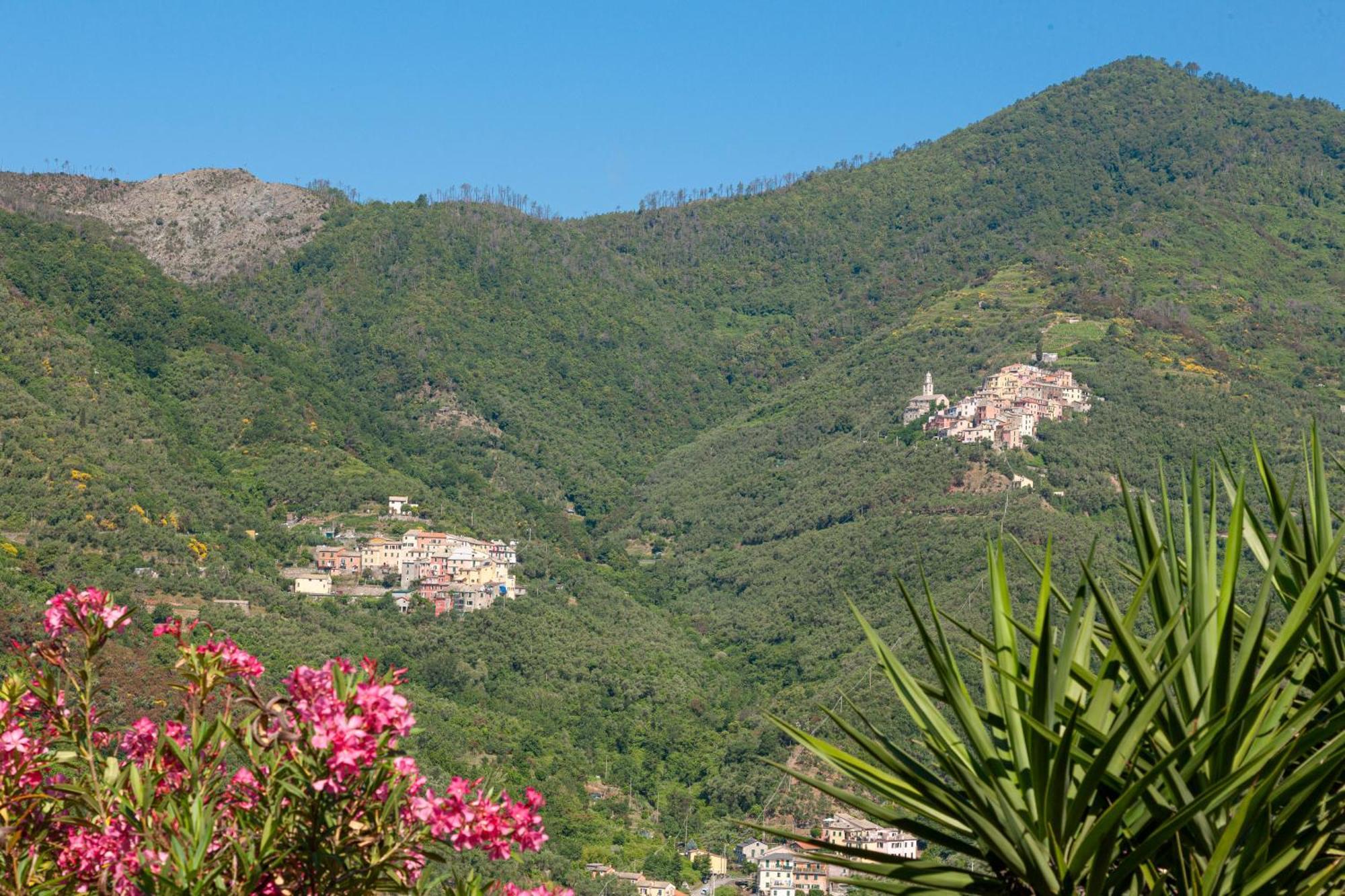 Villa Dell'Erta - Levanto Montale  ภายนอก รูปภาพ